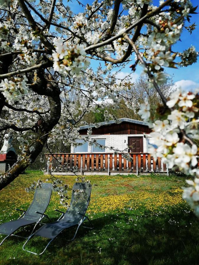 Ferienhaus Chiara, Suedharz, Harztor Ilfeld Exterior foto